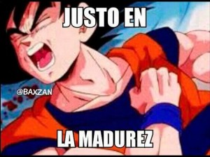 2740971_g_594144_imgg