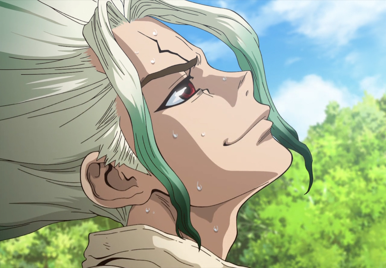Dr.-Stone-01_22.08_2019.07.05_16.17.01_stitch