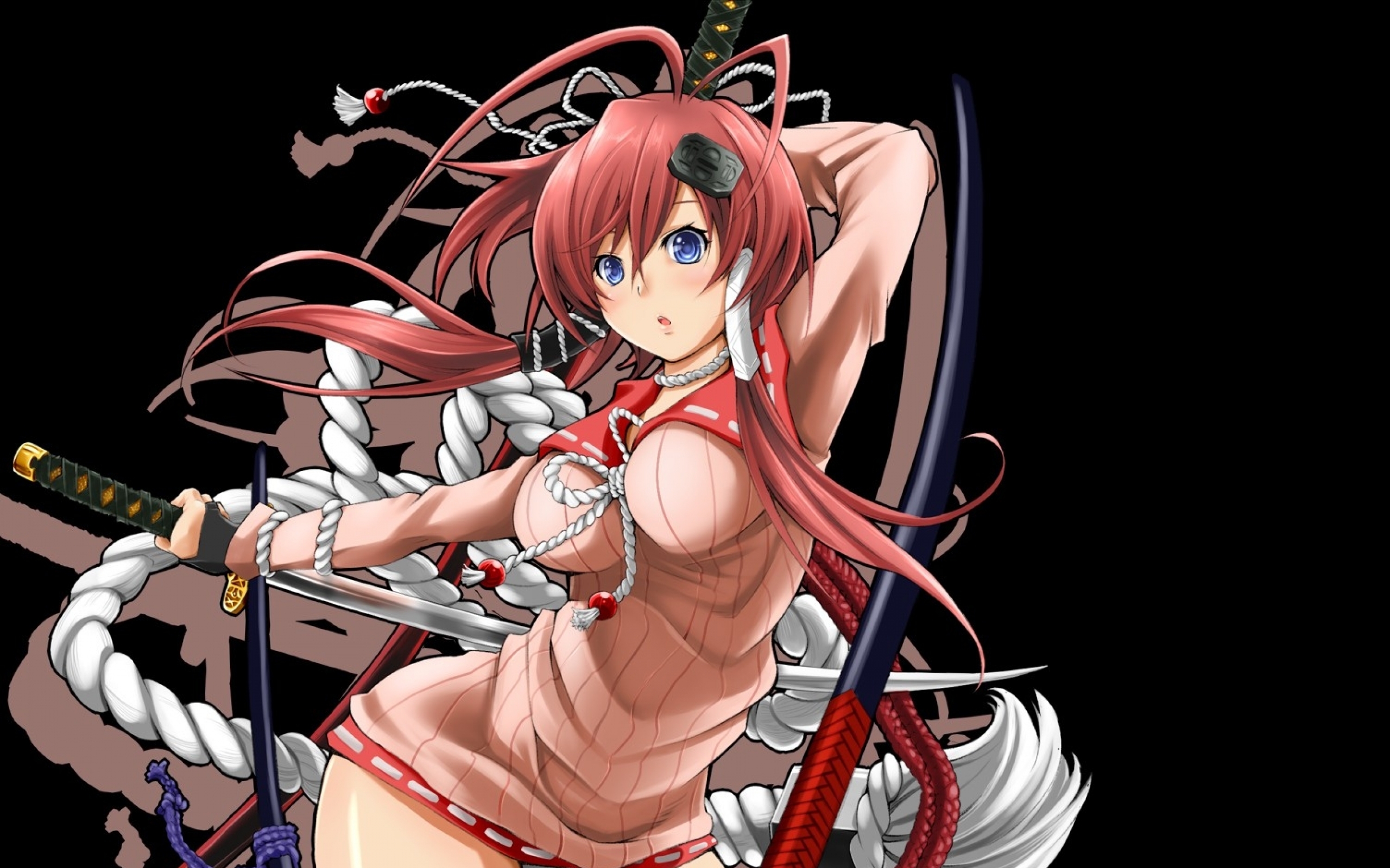 katana_hyakka_ryouran_samurai_girls_yagyuu_jubei_samurai_girls_girls_with_swords_anime_girls_150_Anime HD Wallpaper_2560x1600_www.wallpaperswa.com (1)